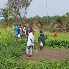 Sierra Leone 2010 – Aufbau weiterführender Schule und eines Agrarprojektes
